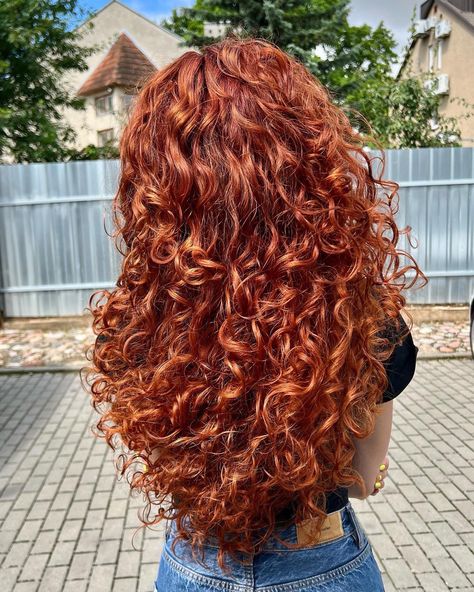 Auburn Ombre Curly Hair, Big Red Curly Hair, Dark Orange Curly Hair, Curly Ginger Hair Aesthetic, Long Curly Ginger Hair, Copper Red Curly Hair, Curly Red Hair Aesthetic, Copper Hair Curly, Ginger Hair Curly