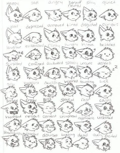 cat emotions- face Cartoon Cat Facial Expressions, Cartoon Cat Drawing Reference, Warrior Cats Face Drawing, Cat Expressions Faces, Animal Emotions Drawing, Cat Faces Reference, Cat Faces Illustration, Warrior Cats Face Expressions, Cat Emotions Drawing