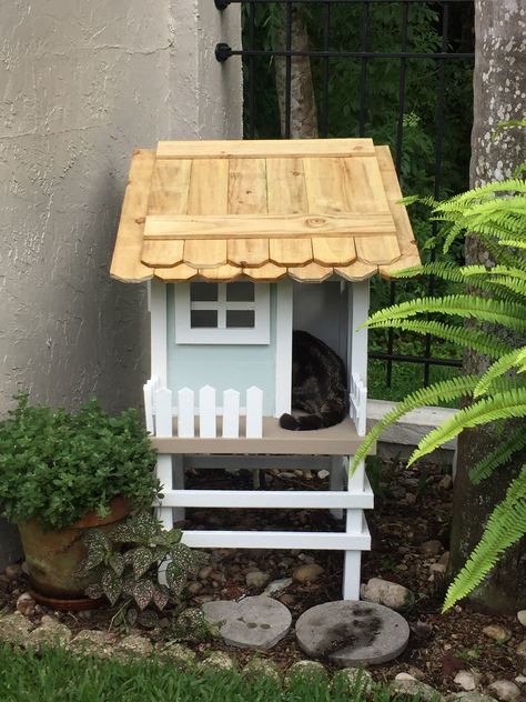 Cute Outdoor Cat House, Outdoor Cat Shelter Summer, Wooden Cat House Outdoor, Cat Treehouse Outdoor, Easy Diy Outdoor Cat House, Outdoor Cat Tree House, Pallet Cat House Outdoor, Cats House Ideas Outdoor, Cat Tree House Outdoor