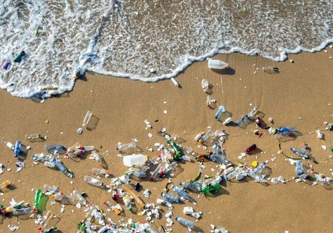 Beach Pollution, Great Pacific Garbage Patch, United Nations Environment Programme, Plastic Beach, Marine Pollution, Fauna Marina, The Better Man Project, Types Of Plastics, Plastic Pollution