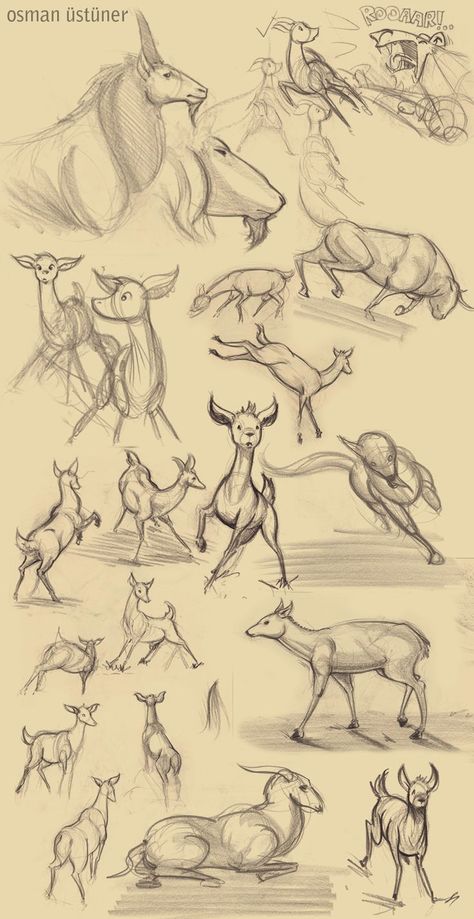 Deer Sketches, Deer Sketch, Animal Drawing, Creature Design, Taxidermy, Media Art, Mixed Media Art, Animal Drawings, Digital Painting