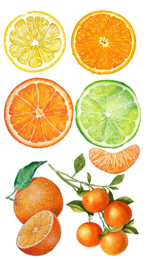 citrus lemon orange lime junk journaling stickers to print Printable Doodles, Journal Photos, Stickers To Print, Journaling Stickers, Art Doodles, Junk Journaling, Citrus Fruit, Scrapbook Journal, Journal Stickers