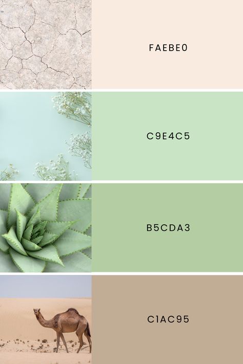 This is a green, nature and earth themed color palette / color combo that you can use in your social media designs and creatives. The hex codes are mentioned in the image. Palettes Aesthetic, Color Picker, Hex Codes, Social Media Designs, Palette Color, Color Palette Generator, Green Nature, Canva Design, Blog Traffic