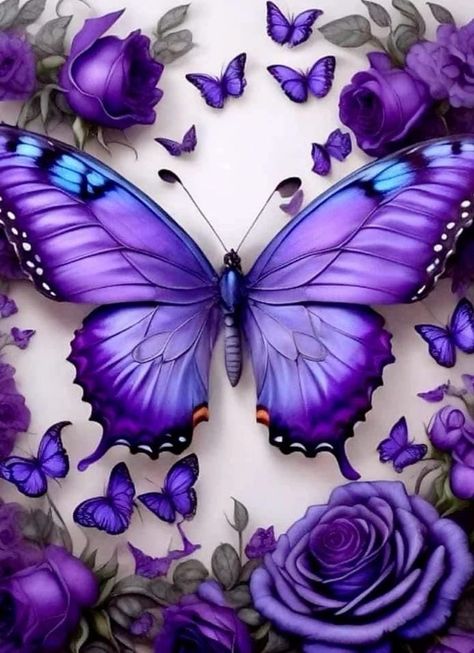 Purple Butterfly Tattoo, Butterfly Wallpapers, Purple Butterfly Wallpaper, Wild Animal Wallpaper, Beautiful Butterfly Pictures, Beautiful Butterfly Photography, Butterfly Art Painting, Butterfly Wallpaper Backgrounds, Beautiful Butterflies Art