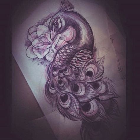 Tattoo Hip, Peacock Drawing, Tattoo Thigh, Peacock Tattoo, Petit Tattoo, Bird Sketch, Feather Tattoos, Hip Tattoo, Birds Tattoo