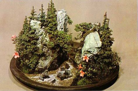 toshio770 Kokedamas Ideas, Small Garden Landscape, Lost Treasure, Mini Fairy Garden, Bonsai Art, Bonsai Plants, Bonsai Garden, Miniature Fairy, Miniature Fairy Gardens