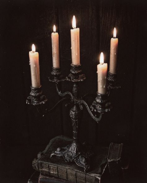 Image reblogged from @heartwornhighway – @witchofthehouse on Tumblr Goth Candles, Gothic Living Room, Art Homework, Goth Things, Candles Aesthetic, Ghost House, Dark Home Decor, Trick R Treat, Dark Home