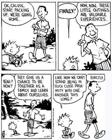 Calvin And Hobbes Humor, Spaceman Spiff, Best Calvin And Hobbes, The Far Side Comics, Calvin Und Hobbes, Calvin And Hobbes Quotes, Stuffed Tiger, Comic Strip Template, Bill Watterson