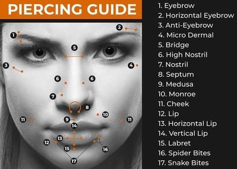 Piercing Guide Face, Different Piercings Names, All Types Of Body Piercings Chart, Piercing Names Nose, All Piercings Types Face, Pericings And Names, Piercing Chart Face, Face Peircings Name Chart, Nose Piercing Chart