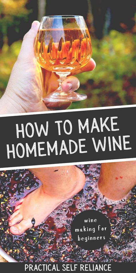 Making your own homemade wine is not as daunting as it may seem! With the right supplies, some helpful guidance, and a little bit of patience, you can easily start crafting delicious and creative wines right in the comfort of your own home. From traditional grape wines to unusual pineapple and elderberry options, you can create a variety of custom alcoholic drinks to share with friends and family! Read on to learn the basics of wine making and explore some delicious recipes. Homemade Wine Recipes Grape, Wild Grape Wine Recipe, How To Make Wine At Home, Concord Grape Wine Recipe, Easy Wine Recipes, Grape Wine Recipe, Fruit Wine Recipes, Making Wine From Grapes, Making Alcohol