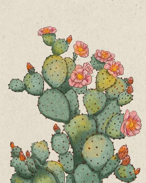 A cactus with pink blooms to end the week.🌵🌸 Enjoy your weekend!🧡🌤️ #cactusillustration #botanical #flowers #botanical #digitalart #ilustrationart Cactus Artwork, Pink Cactus, Cactus Illustration, Flowers Botanical, Watercolor Cactus, Enjoy Your Weekend, Cactus Art, Cactus Flowers, April 12