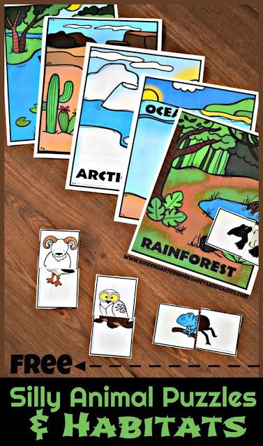 FREE Animal Homes for Kids Clip it Cards Habitat Printables Free, Habitats Kindergarten, Animal Classification For Kids, Animal Habitats Kindergarten, Animal Habitats Preschool, Kindergarten Science Projects, Biomes Activities, Science Activities For Toddlers, Habitat Activities