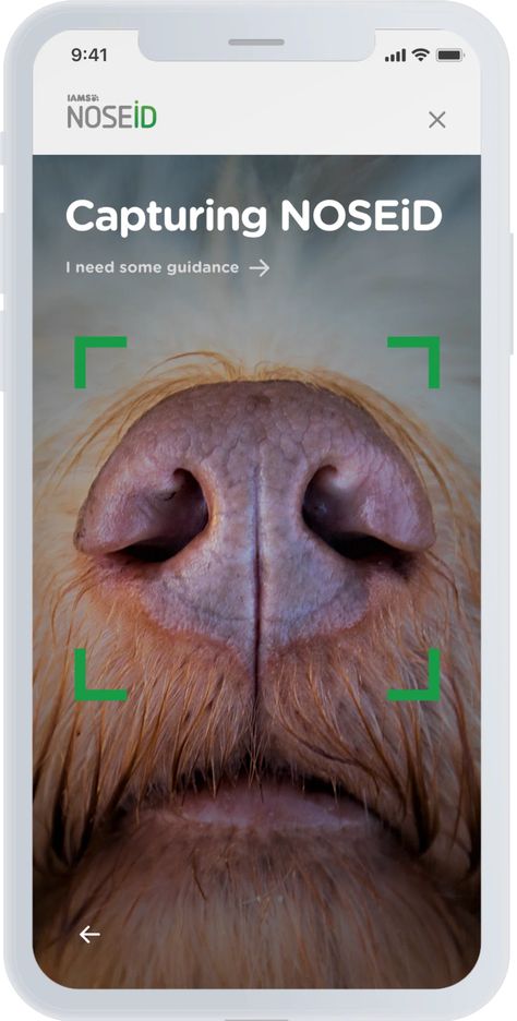 Dogs Nose, Dog Nose Print, Scan App, Pr Ideas, Dogs Home, Dog Nose, Direction Graphic Design, Dog Poster, Lost Pets