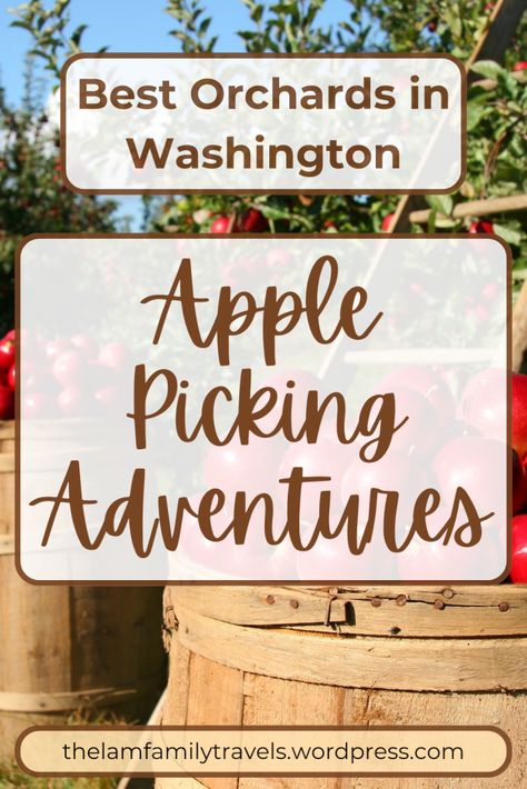 Washington State is known for its crisp, delicious apples, and there's no better way to enjoy the harvest season than with a family-friendly apple-picking adventure. Beyond just picking apples, many orchards in Washington offer fun fall activities like hayrides, cider-making, and apple-themed treats. Whether you're on the hunt for the perfect Honeycrisp or looking for a full day of autumn fun, we’ve rounded up the best family-friendly orchards in Washington for your next adventure! Washington Apple, Picking Apples, Themed Treats, Cider Making, Fuji Apple, Apple Season, Apple Varieties, Fun Fall Activities, Homemade Apple