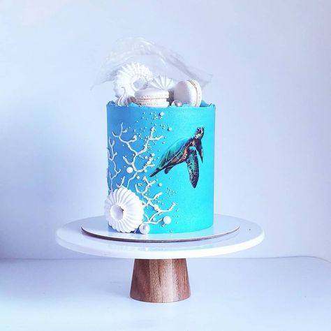 Coral Reef Cake, Reef Cake, Turtle In The Ocean, Ocean Cake, Beach Themed Cakes, Ocean Cakes, The Great Barrier Reef, Ocean Vibes, A Turtle