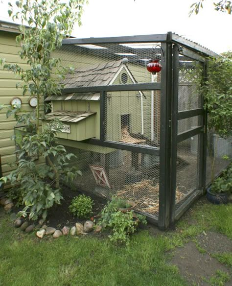 chicken gardens - Google Search Side Of Building, Urban Chicken Farming, Portable Chicken Coop, Book Notes, Chicken Coup, Urban Chickens, Coop Design, Chicken Coop Designs, Chicken Garden