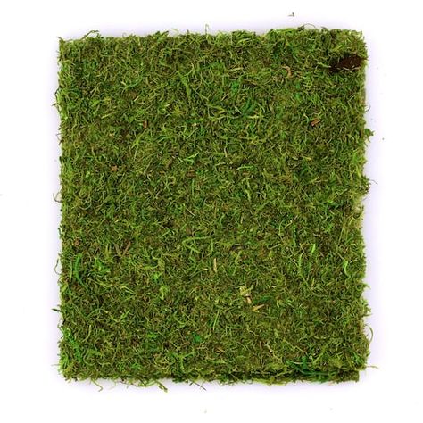 "Find the SuperMoss® Peel-N-Stick All Purpose Moss Mat at Michaels. This peel and stick moss mat is perfect for adding realistic greenery to your DIY floral projects. This%20peel%20and%20stick%20moss%20mat%20is%20perfect%20for%20adding%20realistic%20greenery%20to%20your%20DIY%20floral%20projects.%3Cbr%3E%3Cbr%3EDetails%3A%3Cbr%3E%3Cul%3E%3Cli%3EGreen%3C%2Fli%3E%3Cli%3E16%22%20x%2018%22%20mat%20size%3C%2Fli%3E%3Cli%3EDried%20moss%3C%2Fli%3E%3C%2Ful%3E | SuperMoss® Peel-N-Stick All Purpose Moss Ma Bohemian Wedding Centerpieces, Moss Mat, Swamp Theme, Floral Projects, Floral Bowls, Michael Art, Botanical Decor, Floral Craft, Floral Supplies