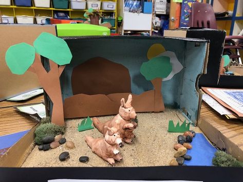 Shoe box diorama of Australian wallabies--wallabies done in Model Magic Australian Outback Diorama, Australia Diorama, Kangaroo Habitat, Shoe Box Diorama, Habitat Project, Australia For Kids, Habitats Projects, Homework Ideas, Zoo Crew