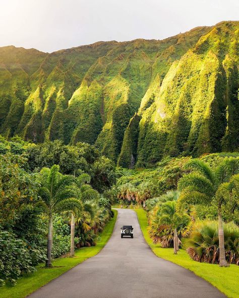 Hawaiian roadways 🌴 Honolulu, Hawaii. Photo by @monifhabib Hawaii Life, Beach Park, Destination Voyage, Beautiful Places To Travel, Hawaii Travel, Travel Goals, Pretty Places, Travel Aesthetic, Oahu