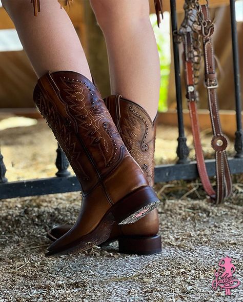 Acabado echos a mano y diseños exclusivos es lo que ladies te ofrece. Una modelo distinto para cada ocasión distinta #botas #botasdepiel #botasdemujer #western #calzado #cuadra #fashion #christmas #rodeo #rodeofashion #rodeostyle Boot Scootin Boogie, Cute Country Outfits, Fashion Christmas, Cowgirl Chic, Cute N Country, Country Outfits, Cowgirl Boots, Women's Style, New Look