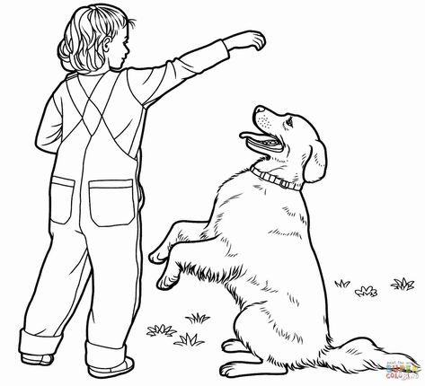 Golden Retriever Coloring Page Golden Retriever Coloring Pages Babbleedition Golden Retriever Colors, Golden Retriever Drawing, English Labrador, Puppy Coloring Pages, Lab Puppy, Dog Coloring Page, Lab Dogs, Coloring Pages For Boys, Labrador Puppy