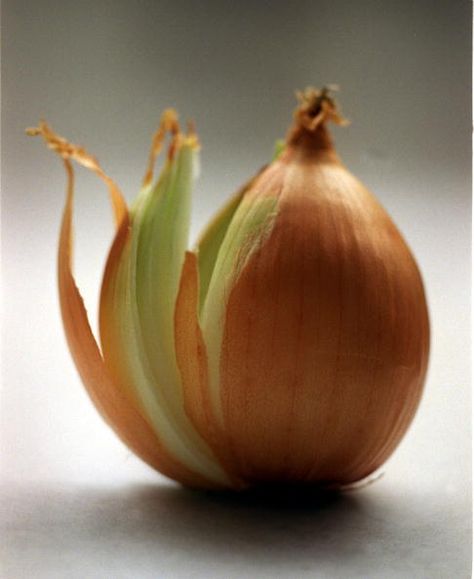 “Peeling the Onion” is a monthly column by Harvey Abrams, Health Belief Model, Natural Expectorant, Ekhart Tolle, Hearing Health, The Onion, Health Technology, Hearing Loss, Traditional Medicine, Creative Ads