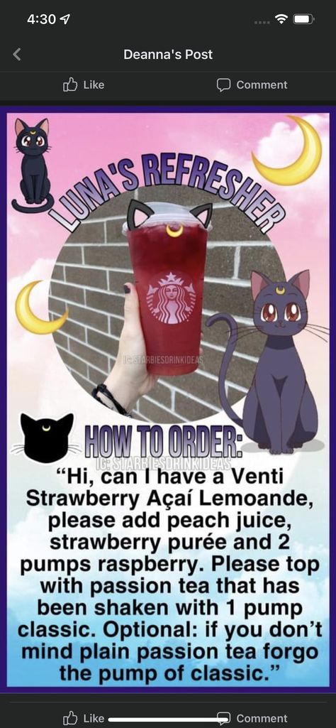 Studio Ghibli Starbucks Drinks, Mha Starbucks Drinks, Starbucks Drinks Characters, Anime Inspired Starbucks Drinks, Disney Starbucks Drinks, Starbucks Halloween Drinks, Starbucks Flavors, Starbucks Drink Menu, Starbucks Hacks