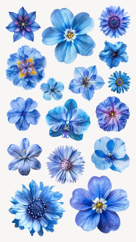 Editable blue flower design element set | premium image by rawpixel.com / Techi Baby Reception, Blue Stickers, Blue Flower Design, Elements Design, Photoshop Painting, Paper Template, Blue Flower, Free Design Resources, Flower Arrangement