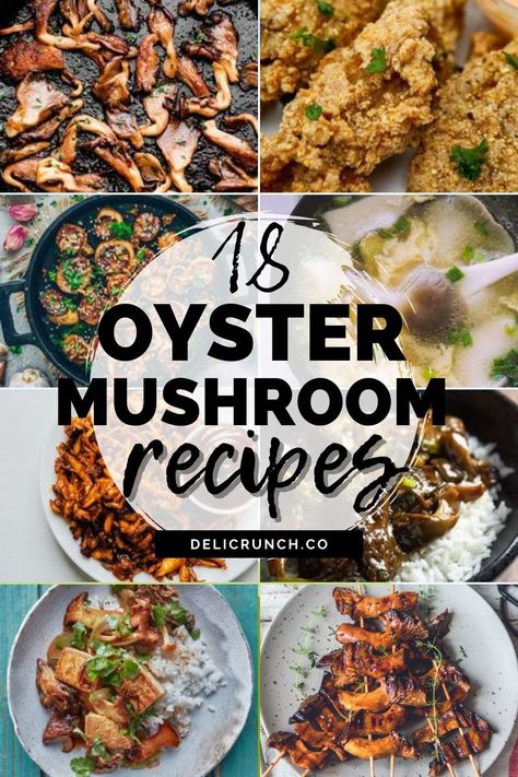 How To Cook With Mushrooms, Recipes Oyster Mushrooms, Clamshell Mushroom Recipe, Gold Oyster Mushroom Recipe, Healthy Oyster Mushroom Recipes, How To Cook Pink Oyster Mushrooms, Dehydrated Oyster Mushrooms, Dried Oyster Mushrooms, Oyster Mushroom Burger Recipe