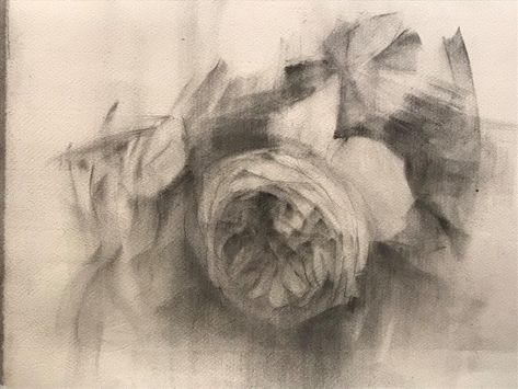 Botanical Sketches, Sketching Inspiration, Carrie White, Drawing Charcoal, Still Life Flowers, Charcoal Drawings, Charcoal Sketch, Life Paintings, Figurative Artwork