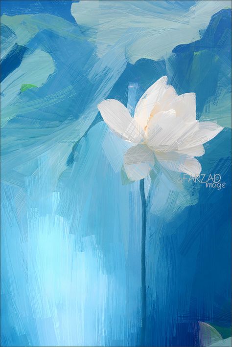 Lotus Flower - Image Based Oil Painting (drawing) effect Lotus Flower Paintings, Flower Painting Images, Lotus Flower Images, Lotus Flower Painting, Lotus Flower Pictures, Paint Filter, Lotus Flower Art, Lotus Painting, Oil Pastel Paintings