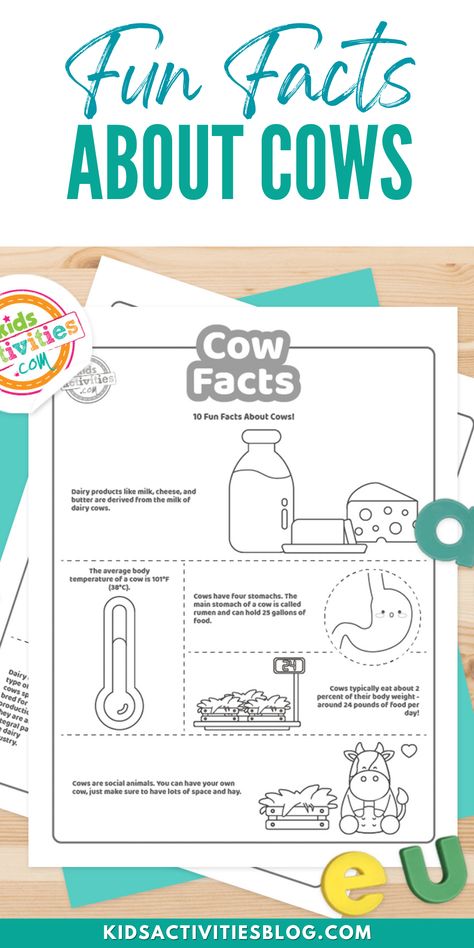 Animal Learning Activities For Kids, Cow Activities, Ag Activities, Animal Learning Activities, Ag Club, Milk A Cow, Ground Hogs, Cow Facts, California Farm