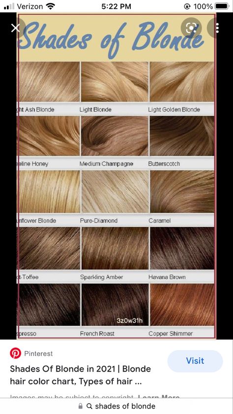 Blonde Color Chart, Blonde Hair Color Chart, Toner For Blonde Hair, Hair Color Chart, Light Ash Blonde, Cool Blonde, Image Ideas, Shades Of Blonde, Havana Brown