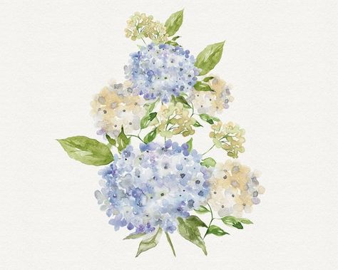 Hydrangea Watercolor Clipart Hydrangea Bouquet Stationary | Etsy Hydrangea Illustration, Blue Hydrangea Watercolor, Hydrangea Watercolor, Hydrangeas Art, Watercolor Hydrangea, Hydrangea Print, Hydrangea Bouquet, Blue Wedding Flowers, Watercolor Printable