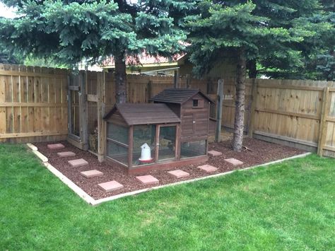 Urban Chicken Coop, Urban Chicken, Urban Chicken Farming, Landscape Timbers, Portable Chicken Coop, Urban Chickens, Chicken Farming, Best Chicken Coop, Chicken Run