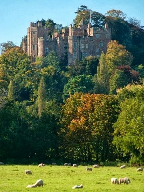 Dunster Castle. Exmoor. Somerset, UK. The castle is wonderful but the Grounds are exceptional ☆ Dunster Castle, Uk Castles, Castle England, British Castles, Old Castle, English Castles, Somerset England, Stately Homes, Visiting England