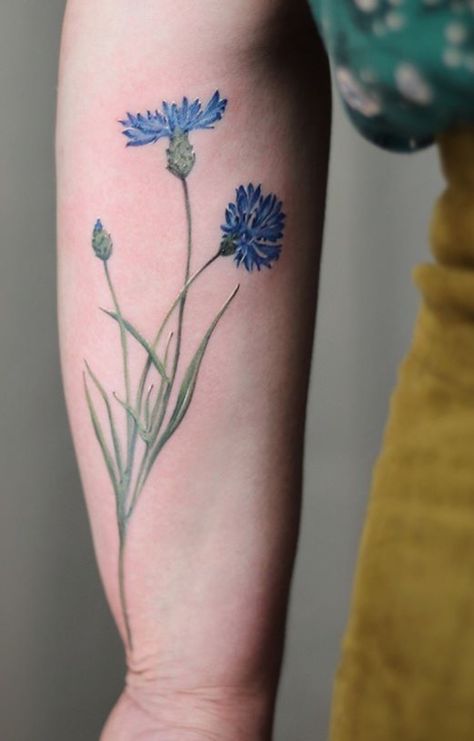 Cindy Vanschie flower tattoo Chicory Tattoo, Cornflower Tattoo, Ogham Tattoo, Blue Corn, Lotus Tattoo, Ink Artwork, Flower Bud, Color Tattoo, Flowers And Leaves