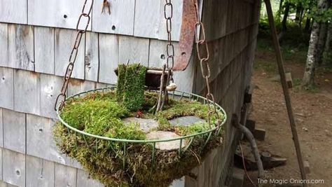 Fairy Garden in a Hanging Basket Feature : FOURTEEN Hanging Fairy Garden, Moss Inspiration, Hanging Basket Kitchen, Forest Rocks, Moss House, Hanging Baskets Kitchen, Decorate Garden, Creative Play Ideas, I Do Believe In Fairies