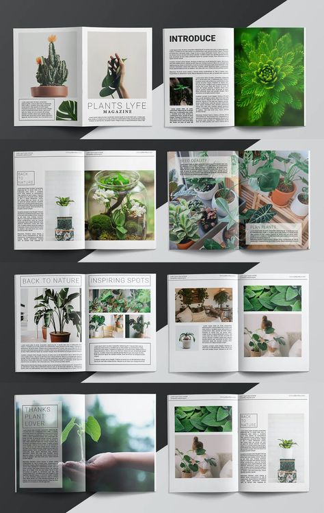 Plant Magazine Template INDD - 20 pages Plant Magazine Design, Plant Catalog Design, Nature Magazine Design, Plant Magazine Layout, Nature Magazine Layout, Sustainability Magazine, Environment Magazine, Nature Magazine Cover, Plant Layout Design