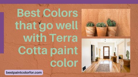 65 colors to pair with terra cotta (Best Collection!) Terra Cotta Decor, Terra Cotta Paint Color, Terra Cotta Floors, Paint Color Guide, Terracotta Paint, White Wood Floors, Best White Paint, Best Paint Colors, Best Paint