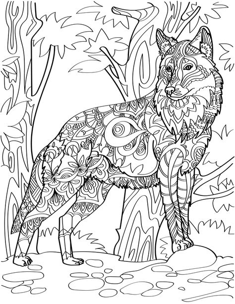 Lobo para colorir, #desenhosparapintarecolorir #loboparacolorir, Desenhos para Pintar Forest Background Drawing, Jungle Environment, Wolf Standing, Tiger Silhouette, Cartoon Tiger, Sphinx Cat, Cat Coloring Book, Kid Coloring Page, Kitty Coloring