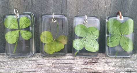 Four Leaf Clover inlaid in Resin by Katiesklovershoppe on Etsy Four Leaf, Leaf Clover, Four Leaf Clover, Handmade Gift, Handmade Gifts, Unique Jewelry, Clothes