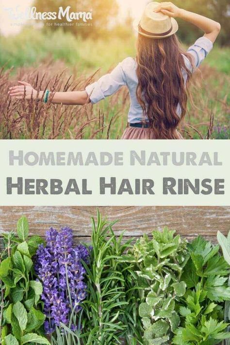 DIY Herbal Hair Rinse for Shiny and Strong Hair | Wellness Mama Diy Herbal Shampoo, Hair Rinse Recipe, Herbal Hair Rinse, Shiny Healthy Hair, Herbal Vinegar, Rosemary Herb, Herbal Shampoo, Hair Mask Recipe, Wellness Mama