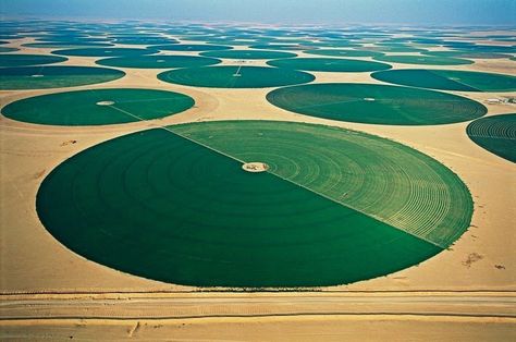 Jordan:  Wadi Rum Farms وادي رم, Valley Of The Moon, Agricultural Development, Urban Heat Island, Wadi Rum, Wuxi, Greenwich Village, Aerial Photo, Suzhou