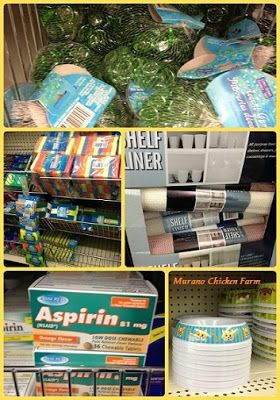 Common chicken supplies that you can buy at the dollar store Chicken Keeping Ideas, Raising Chickens Diy, Cheap Chicken Coops, Chicken Supplies, Portable Chicken Coop, Chicken Nesting Boxes, Chicken Keeping, Feed Store, Chicken Feeders