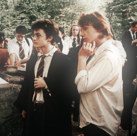 Photo Harry Potter, Harry And Ron, Ron And Harry, Rupert Grint, The Prisoner Of Azkaban, Hogwarts Aesthetic, Harry James, Harry Potter Actors, Harry James Potter