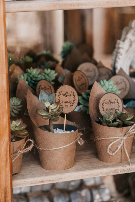 Winter Wedding Favors, Succulent Wedding Favors, Small Flower Pots, Best Wedding Favors, Wedding Favors Fall, Rustic Wedding Favors, Succulent Wedding, Wedding Gifts For Guests, Wedding Souvenirs