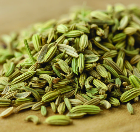 Fennel Plant, Benefits Of Fennel, Fennel Pasta, Fennel Recipes, Roasted Fennel, Pasta Sauces, Fennel Seeds, Asian Dishes, Dried Fruit