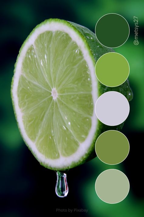 { #colorpalette #colors #designers #green #lemon #fruitcolor } Lemon Color Palette, Lemon Green Colour, Yellow Color Combinations, Lemon Color, Green Lemon, Vintage Football Shirts, Vintage Football, Lemon Yellow, Colour Schemes