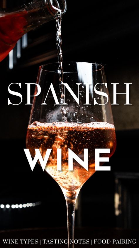 Tempranillo Wine, Wine Types, Authentic Spanish Recipes, Spain Wine, Chilean Wine, Wine Facts, Rioja Wine, Pecan Tarts, Grape Uses